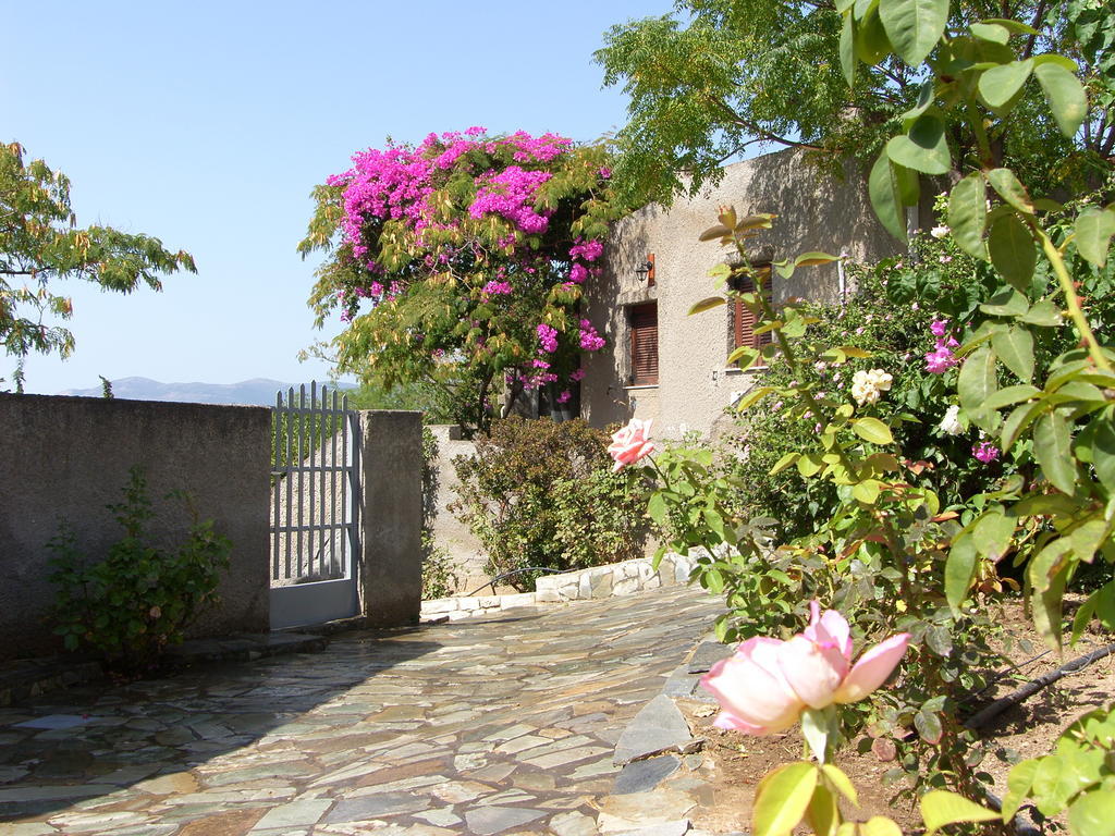 Cavo Grosso Bungalows Mavrovouni  Ruang foto